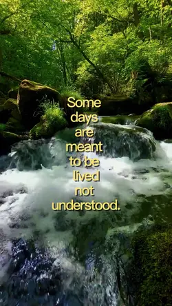 Just Live It