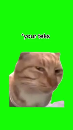 Meme kucing sad 