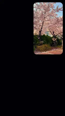 Spring day