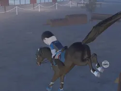 Indoor eventing.
