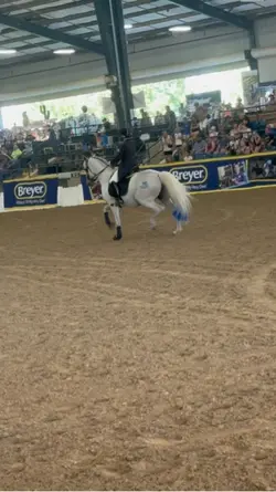 Dressage 💸
