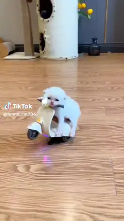 ang cute 