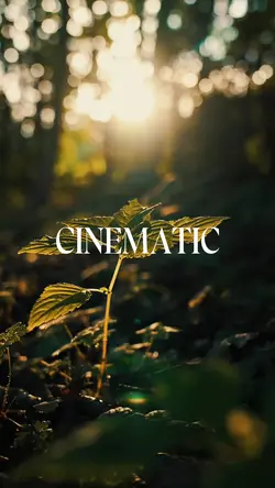 CINEMATIC