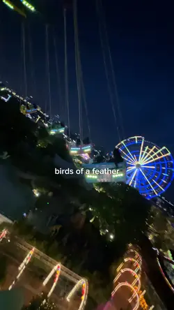 Birds of feather