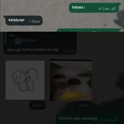 cintanya 100-0?