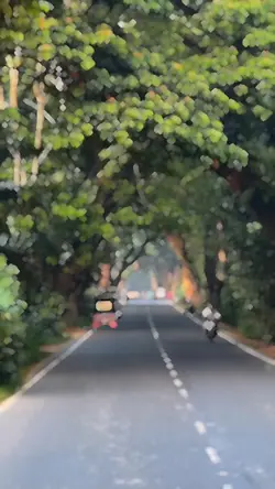 best Slowmo video