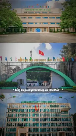 Thanh xuân NLU