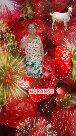 morango do amor 