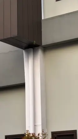 Sad vibes