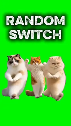 Random Switch