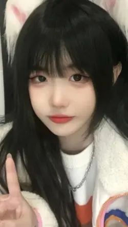 美人醉模板