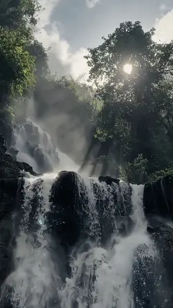 tunggal eka