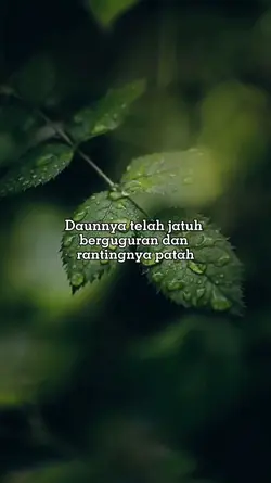 story