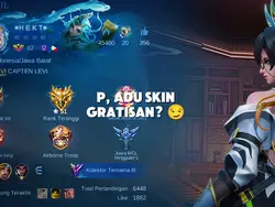 skin ml