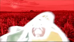 corn