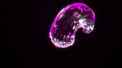 Jelly intro