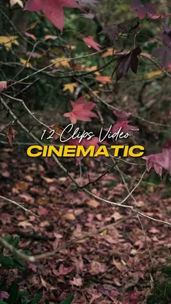 Cinematic 12 Video