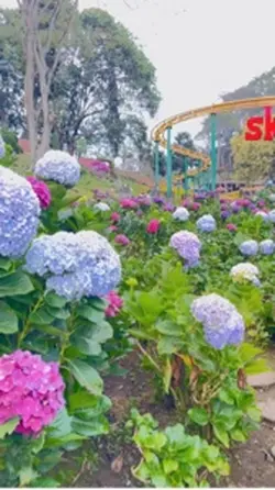 Taman bunga slomow