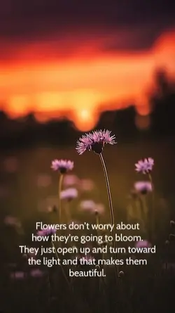 Beautiful flowers