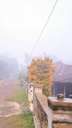 Suasana pedesaan