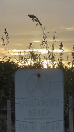 Sunrise Mix 1 