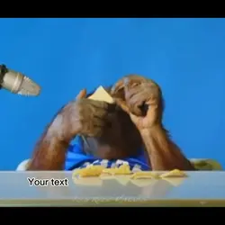 Monkey silly