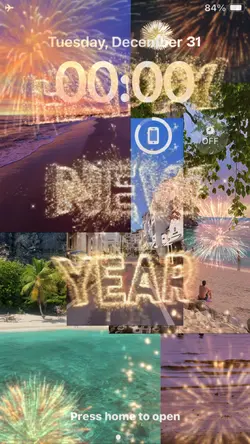 New Years Dump
