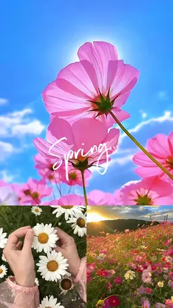 Spring