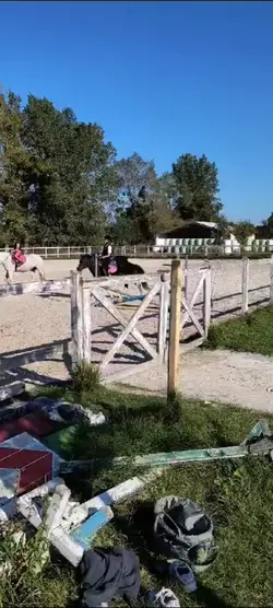 Pony 
