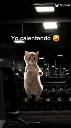 Yo calentando