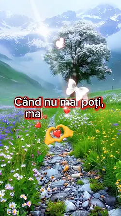 Nu Renunța.