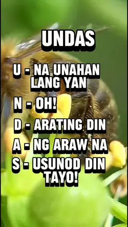 Undas