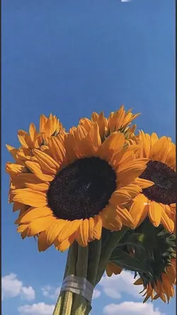 🖤🖤🖤