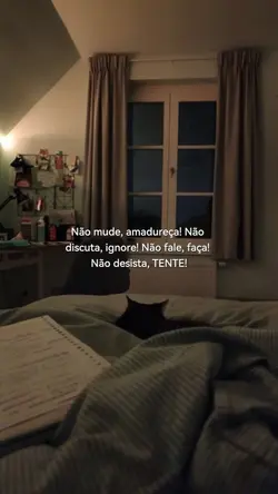 Não desista, Tente!