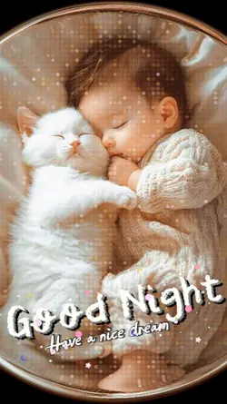 Good Night 