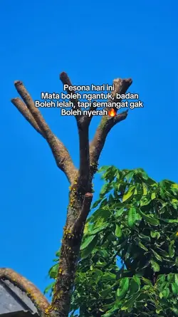 bahan sw