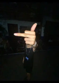 1pic