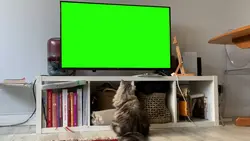 new template