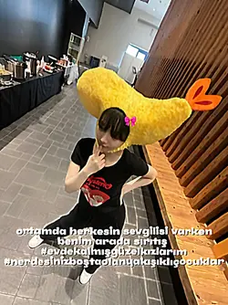 nerdesiniz