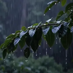 maulan ba sa inyo