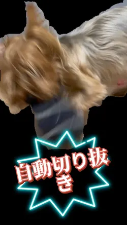 6秒以上の動画を切り抜くだけ‪🤗背景削除