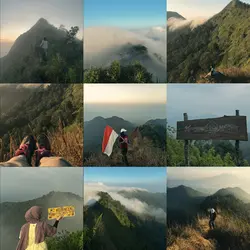 9 grid photos