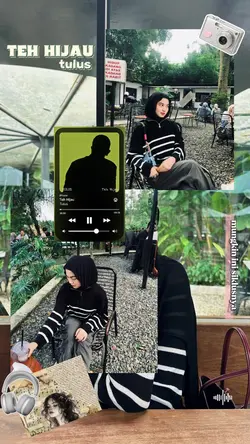 teh hijau tulus 