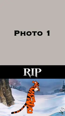 Rip 🪦 💔