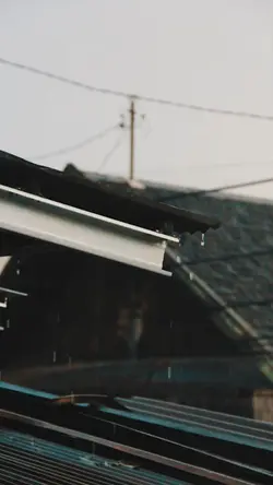 1 video nhẹ nhàng
