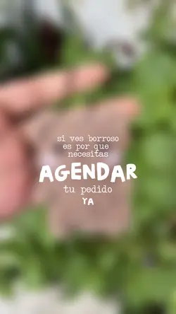 SI VES BORROSO