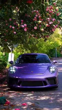 PORSCHE | ☔️🪽