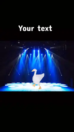 Funny duck dancing 