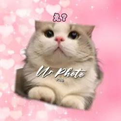 臙脂