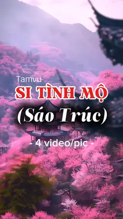 Si tình mộ